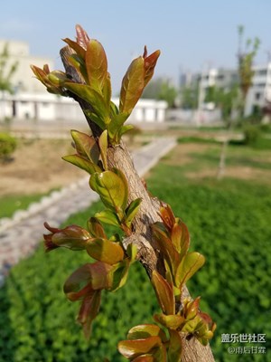 生長，充滿著力量！