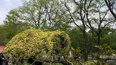 春光無(wú)限