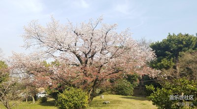 帶著小七游京都（一）