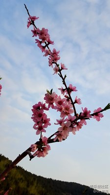 隨拍