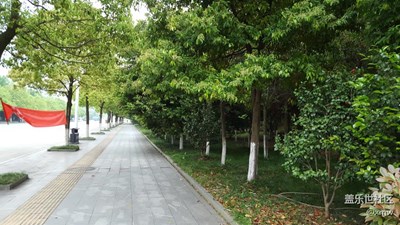 河邊路邊