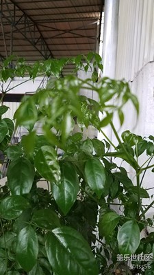 隨拍