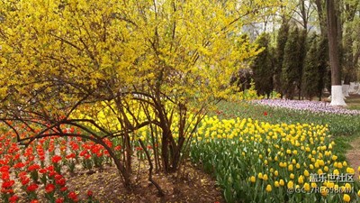 公園隨拍