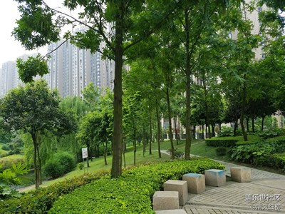 【勞動者的歌】+綿陽市+城市美容師