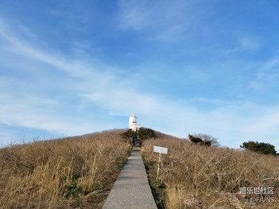 海鷗