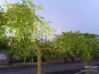 小試牛刀