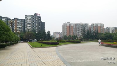 隨手一拍
