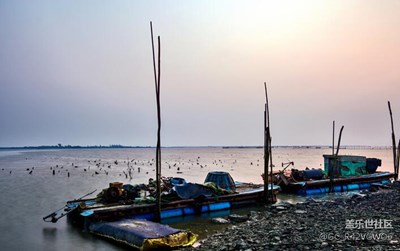 海灣晨曦