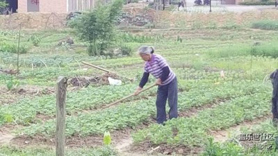 【勞動者的歌】+贛州+媽媽是一幅勞作的畫（5）