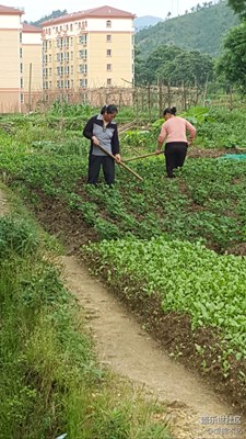 【勞動者的歌】+贛州+媽媽是一幅勞作的畫(9)