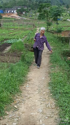 【勞動者的歌】+贛州+媽媽是一幅勞作的畫(10)