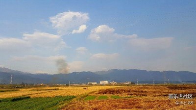 收割的季節(jié)，宛如油畫(huà)