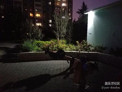 隨手拍