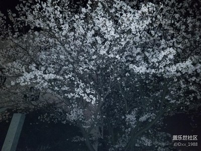 愛不一樣 留住剎那