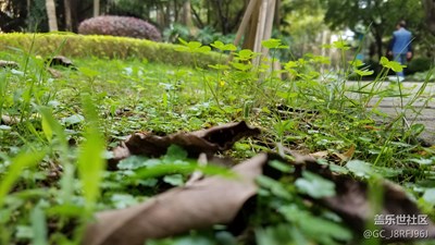 大地上的萬(wàn)物