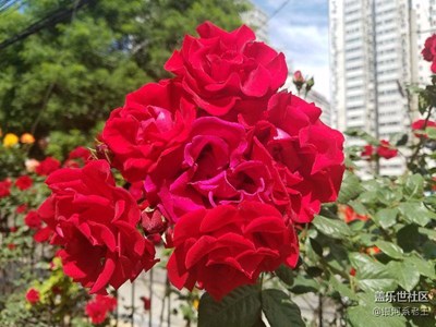 s7 edge隨手拍