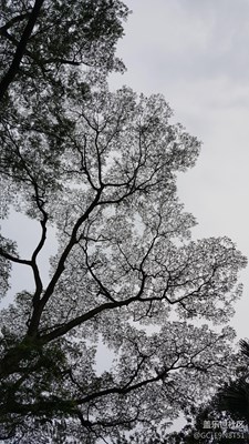 愛不一樣 留住剎那