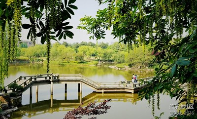 花開時節(jié)，瞬間美好