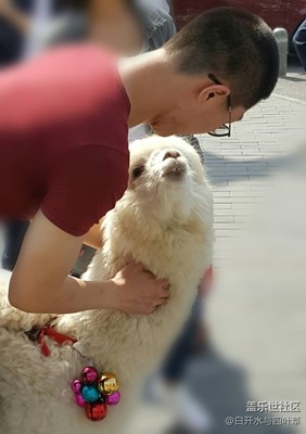 【可愛(ài)的它】+北京+深情對(duì)望