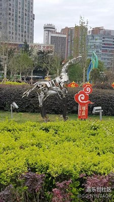 不會拍。隨手拍