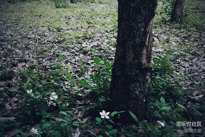 哦的老噶，夠住在這個(gè)屯