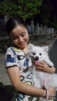 【可愛的它】+ 桐城 +小新