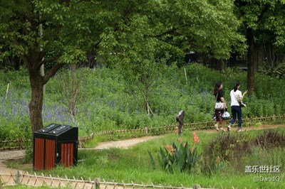 公園一角