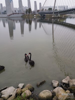 愛不一樣情侶