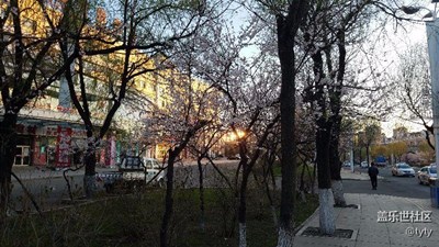 隨拍