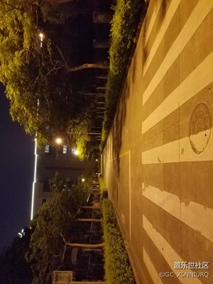 夜