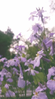 暮春初夏
