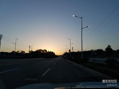 雜拍