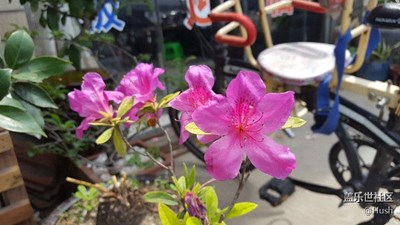 簽到