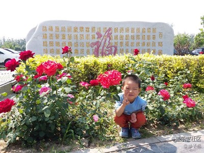 花樣少男