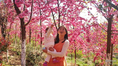 賞櫻花的母女