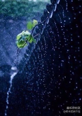 倚樓聽風(fēng)雨（轉(zhuǎn)）