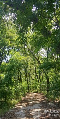 植物園
