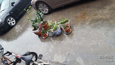 簽到