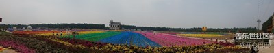 花海世界，色彩繽紛
