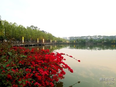青蔥校園