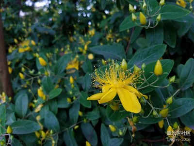 s7隨拍