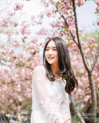 晚櫻