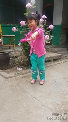花兒與笑臉