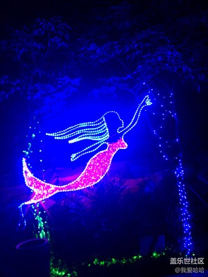 廈門(mén)夢(mèng)幻燈光節(jié)