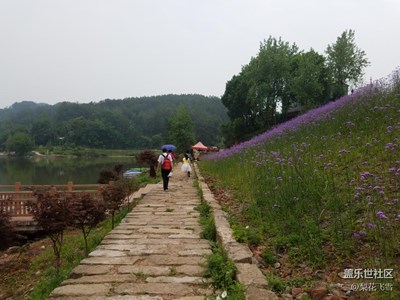 金蝶湖