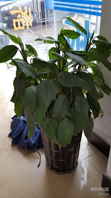 水貼