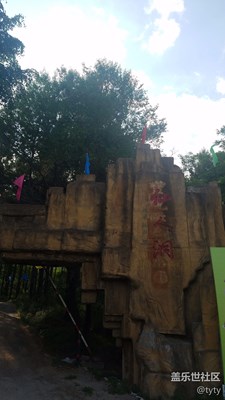 密林深處