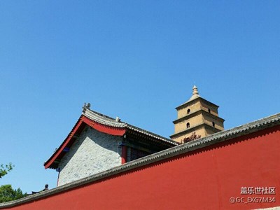 歲月，靜好