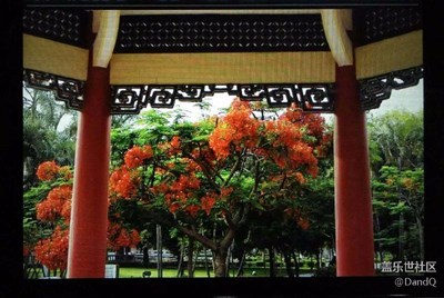 攝影