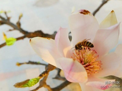 花季，靜好